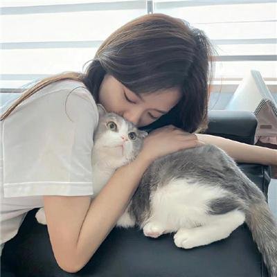 双面骗子虚假警察第二季